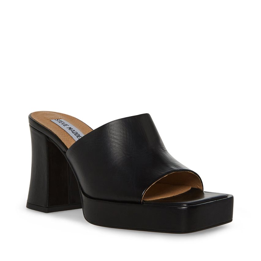 Black Steve Madden Alex Leather Women's Mules | PH 9751LNM